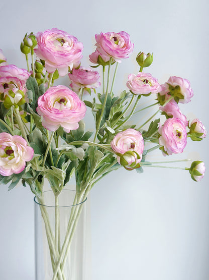 6-Head Ranunculus Spray in Pale Pink