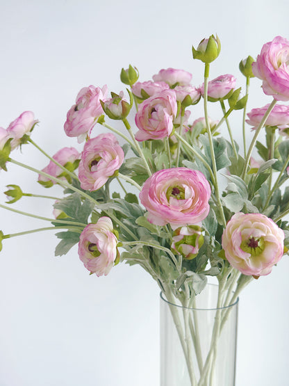 6-Head Ranunculus Spray in Pale Pink