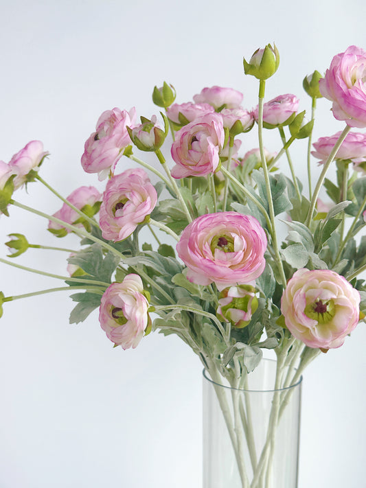 6-Head Ranunculus Spray in Pale Pink