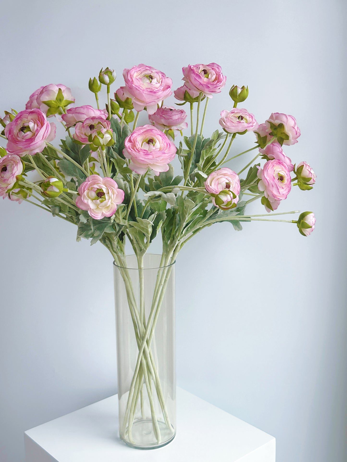 6-Head Ranunculus Spray in Pale Pink