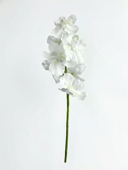 Real Touch Vanda Orchid in Cream White (Single-Stem Price)