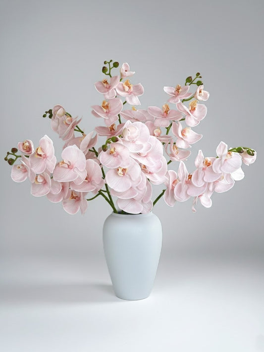 Deluxe Real Touch Phalaenopsis Orchid in Blush Pink (Single-Stem Price)