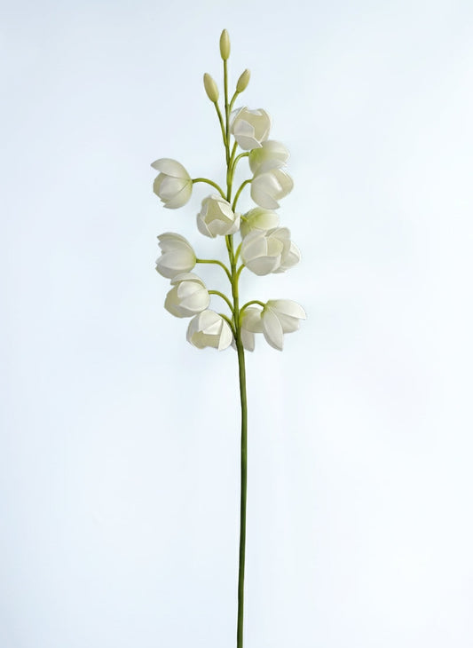 White Lily of Valley  (Single-Stem Price)