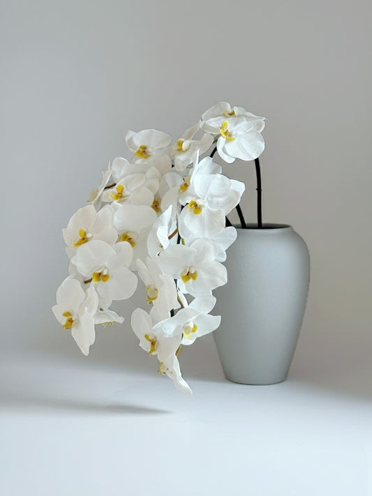 Deluxe Real Touch Phalaenopsis Orchid in Crisp White (Single-Stem Price)